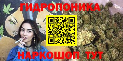 mdpv Кимры