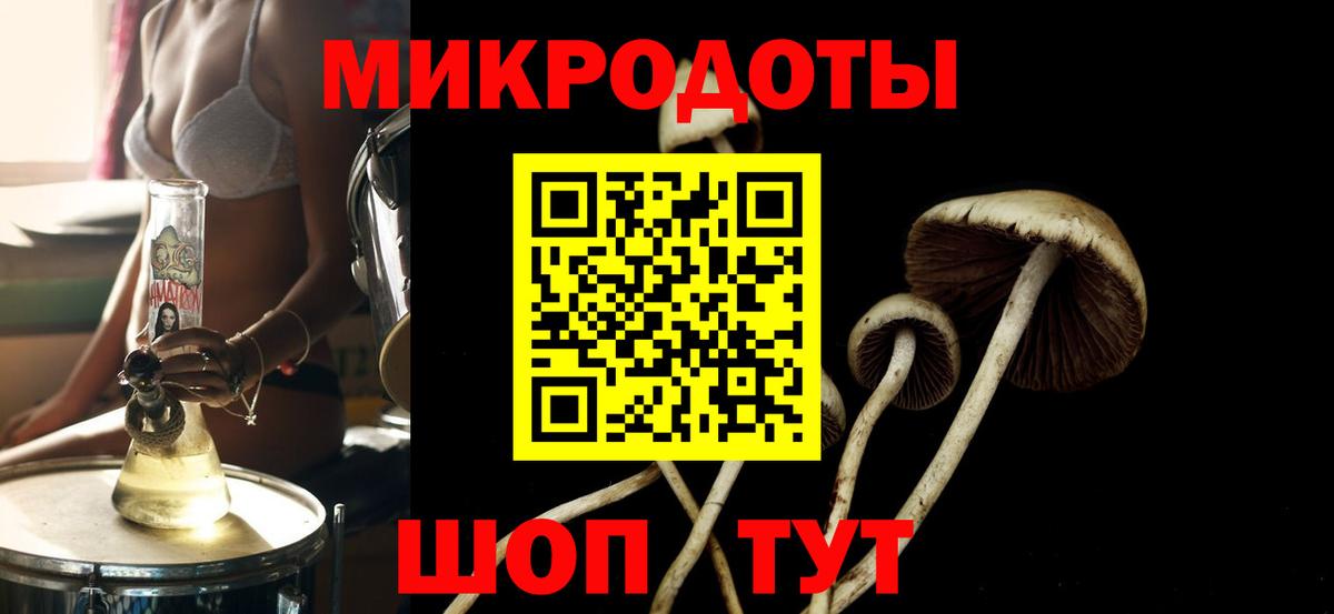 Галлюциногенные грибы Psilocybine cubensis Кубинка